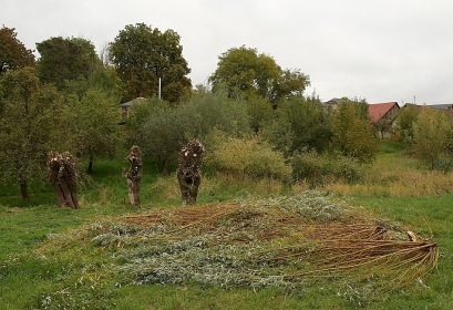 Glamping Jurta hnd - Toulava - Monnec