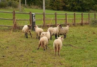 Glamping Jurta hnd - Toulava - Monnec