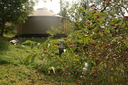 Glamping Jurta hnd - Toulava - Monnec