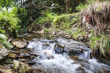 Chata s baz�nem - Ro�mberk - p�ehrada Lipno