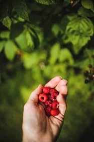 Chata s baznem - Vy Brod - pehrada Lipno