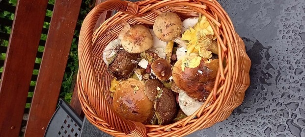 Chata s baznem - Vy Brod - pehrada Lipno