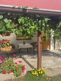 Chalupa Vysok - Havlkv Brod - Vysoina