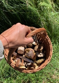 Chalupa Rychlebsk hory - Kralick Snnk