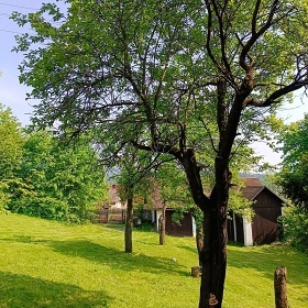 Beskydsk roubenka - Bab hora - Lavendka