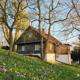 Beskydská roubenka - Babí hora - Lavendka