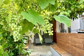 Chata s vivkou - Lednicko-valtick arel - Plava