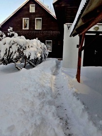 Chalupa u lesa - Slavkovsk les - Krun hory
