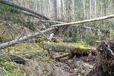 Chalupa umava - Plech - Lipensk jezero