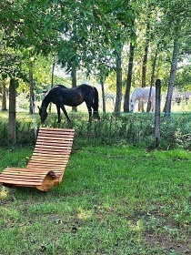 Chaty s wellness - Lednicko-valtick� are�l - P�lava