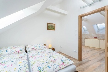 Chalupa s wellness - Dev�t skal - ���rsk� vrchy