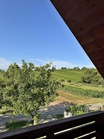 Chata u vinohradu - Dub�any - Slov�cko