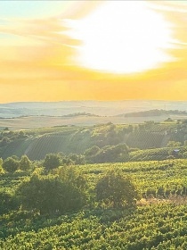 Chata u vinohradu - Dub�any - Slov�cko