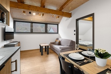 Wellness chalupa a vnit�n� baz�n - park Oslava