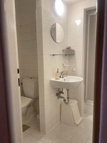 Chalupa pod Sn�kou u lesa - �psk� vodop�d