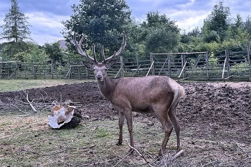 Wellness roubenka - M�ch�v kraj - Koko��nsko