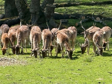 Wellness roubenka - M�ch�v kraj - Koko��nsko