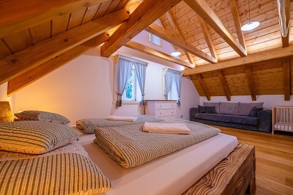 Roubenka se saunou na �umav� - Boub�nsk� prales