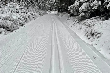 Horsk� chata - Jelen� - Kru�nohorsk� magistr�la