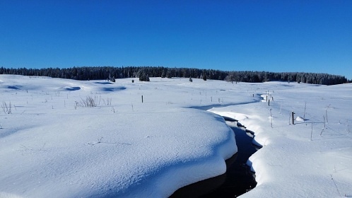 Horsk� chata - Jelen� - Kru�nohorsk� magistr�la