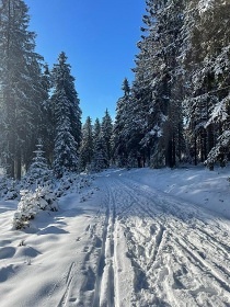 Chalupa v srdci Kru�n�ch hor - Ple�ivec - Pstru��