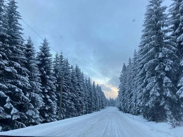 Chalupa s baz�nem - Velk� De�tn� - Orlick� hory