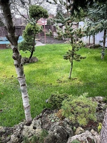 Wellness Rekrea�n� d�m a baz�n - Mirakulum