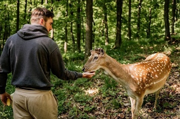 Chalupa u lesa - P��rodn� park Baba - �e�kovice