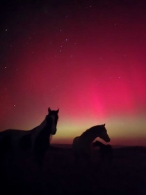 Srub p��rodn� park Man�t�nsko - Rab�tejnsko - kon�