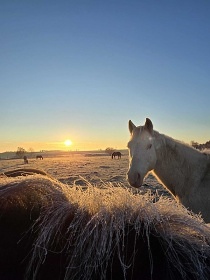 Srub p��rodn� park Man�t�nsko - Rab�tejnsko - kon�