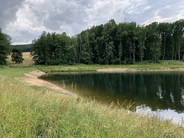 Kanadsk� srub wellness a baz�n - Jizersk� hory