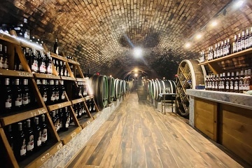 Chalupa a vinn� sklep - Rajhrad - ji�n� Morava