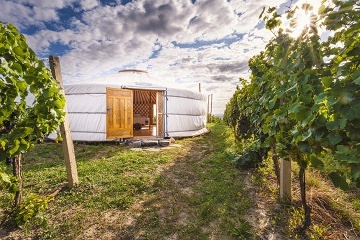 Jurty u vinohradu - glamping Jižní Morava