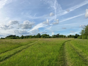 Glamping samota u lesa - Blatensk� pahorkatina