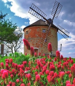 Glamping chalupa na samot� - Krom��� - Ch�iby