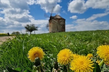 Glamping z�itek ve ml�n� - Ch�iby - ji�n� Morava