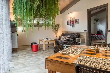 Apartmán u Nežárky - Jindřichův Hradec - Telč