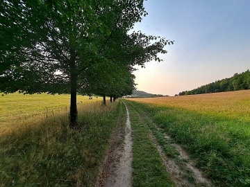 Chalupa u lesa - hrad Tol�tejn - Lu�ick� hory