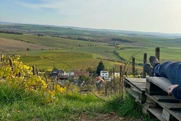 Glamping stan u vinice - Drahansk� vrchovina