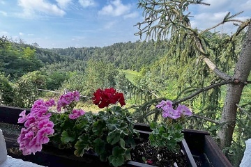 Chalupa samota u lesa - M�eno - Koko��nsko