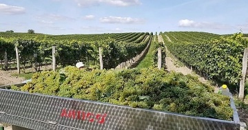 Penzion P�lava - Mikulov - p�ehrada Nov� Ml�ny