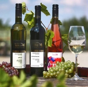 Penzion P�lava - Mikulov - p�ehrada Nov� Ml�ny