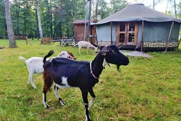 Glamping s v��ivkou a zv���tky - CHKO Slavkovsk� les