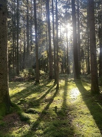 Chalupa s baz�nem - Kutn� Hora - Pos�zav�