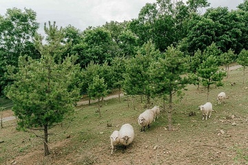 Wellness glamping na samot� - Moravsk� Krumlov