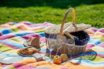 Sruby a apartm�ny - Letohrad - Orlick� Podh���