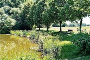 Chalupa Vyso�ina - wellness a vinn� sklep - �elivka