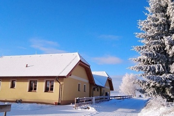 Chalupa sauna a terasa - Javorn�k - �umava