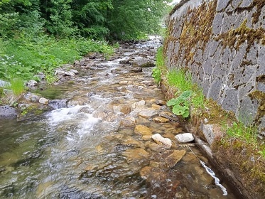 Wellness roubenka u lesa - chalupa Dlouh� str�n�