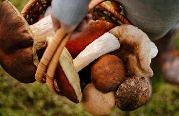 Rekrea�n� d�m Na kopci - apartm�n Kru�n� hory